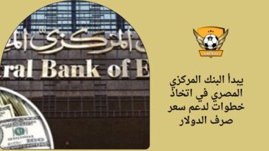 يبدأ البنك المركزي المصري في اتخاذ خطوات لدعم سعر صرف الدولار