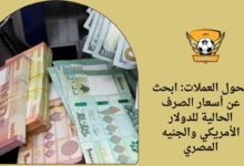 محول العملات: ابحث عن أسعار الصرف الحالية للدولار الأمريكي والجنيه المصري