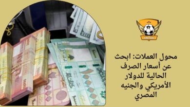 محول العملات: ابحث عن أسعار الصرف الحالية للدولار الأمريكي والجنيه المصري
