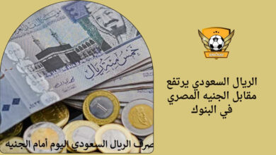 الريال السعودي يرتفع مقابل الجنيه المصري في البنوك