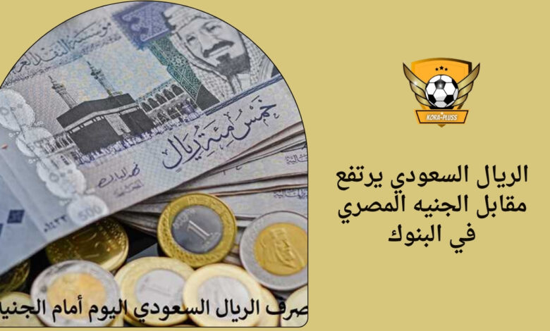الريال السعودي يرتفع مقابل الجنيه المصري في البنوك