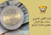 البنك الأهلي المصري يحدد سعر الريال السعودي للشراء والبيع