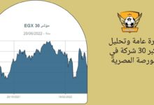 نظرة عامة وتحليل لأكبر 30 شركة في البورصة المصرية