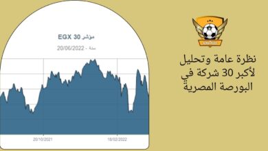 نظرة عامة وتحليل لأكبر 30 شركة في البورصة المصرية