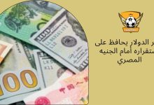سعر الدولار يحافظ على استقراره أمام الجنيه المصري