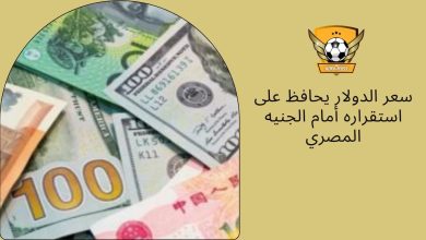 سعر الدولار يحافظ على استقراره أمام الجنيه المصري