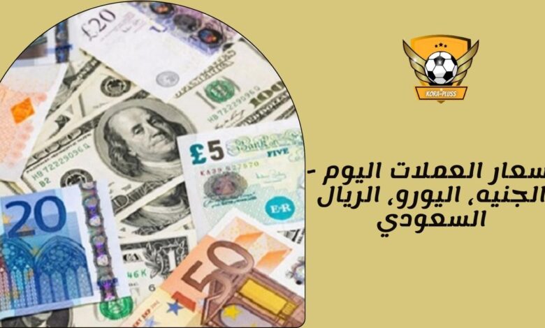 أسعار العملات اليوم - الجنيه، اليورو، الريال السعودي