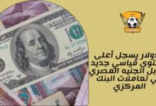 الدولار يسجل أعلى مستوى قياسي جديد مقابل الجنيه المصري في تعاملات البنك المركزي
