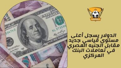 الدولار يسجل أعلى مستوى قياسي جديد مقابل الجنيه المصري في تعاملات البنك المركزي