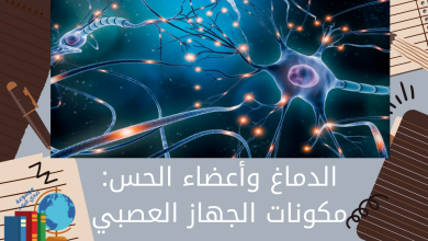 الدماغ وأعضاء الحس مكونات الجهاز العصبي