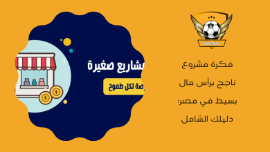 فكرة مشروع ناجح برأس مال بسيط في مصر: دليلك الشامل