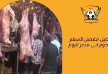 تحليل مفصل لأسعار اللحوم في مصر اليوم