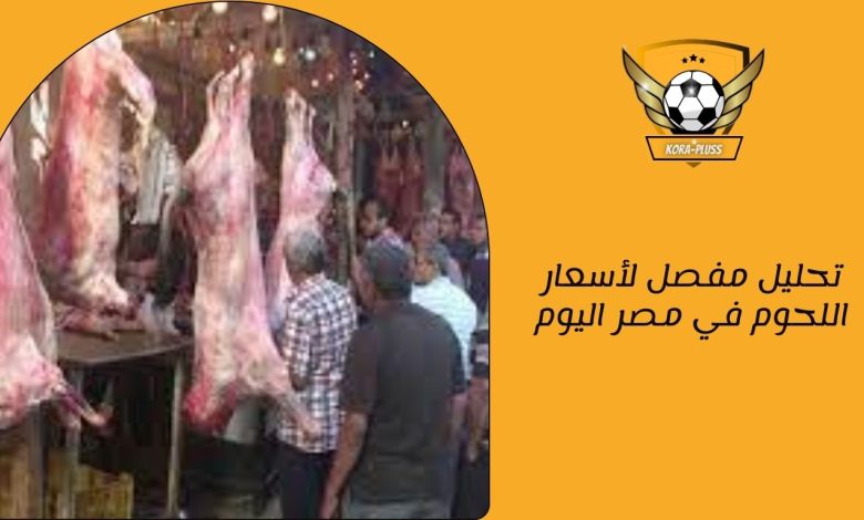 تحليل مفصل لأسعار اللحوم في مصر اليوم