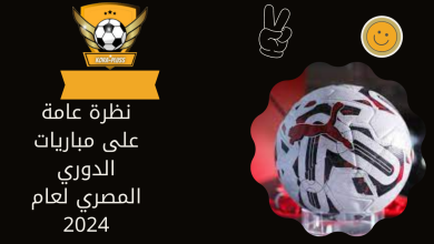 نظرة عامة على مباريات الدوري المصري لعام 2024